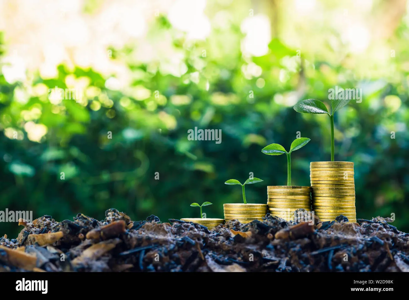 long-term-investment-or-making-money-with-the-right-concepts-a-plant-growth-on-stack-of-coins-on-good-soil-with-green-nature-as-background-depicts-a-w2d98k Thống nhất quan điểm đầu tư để đảm bảo tương lai bền vững